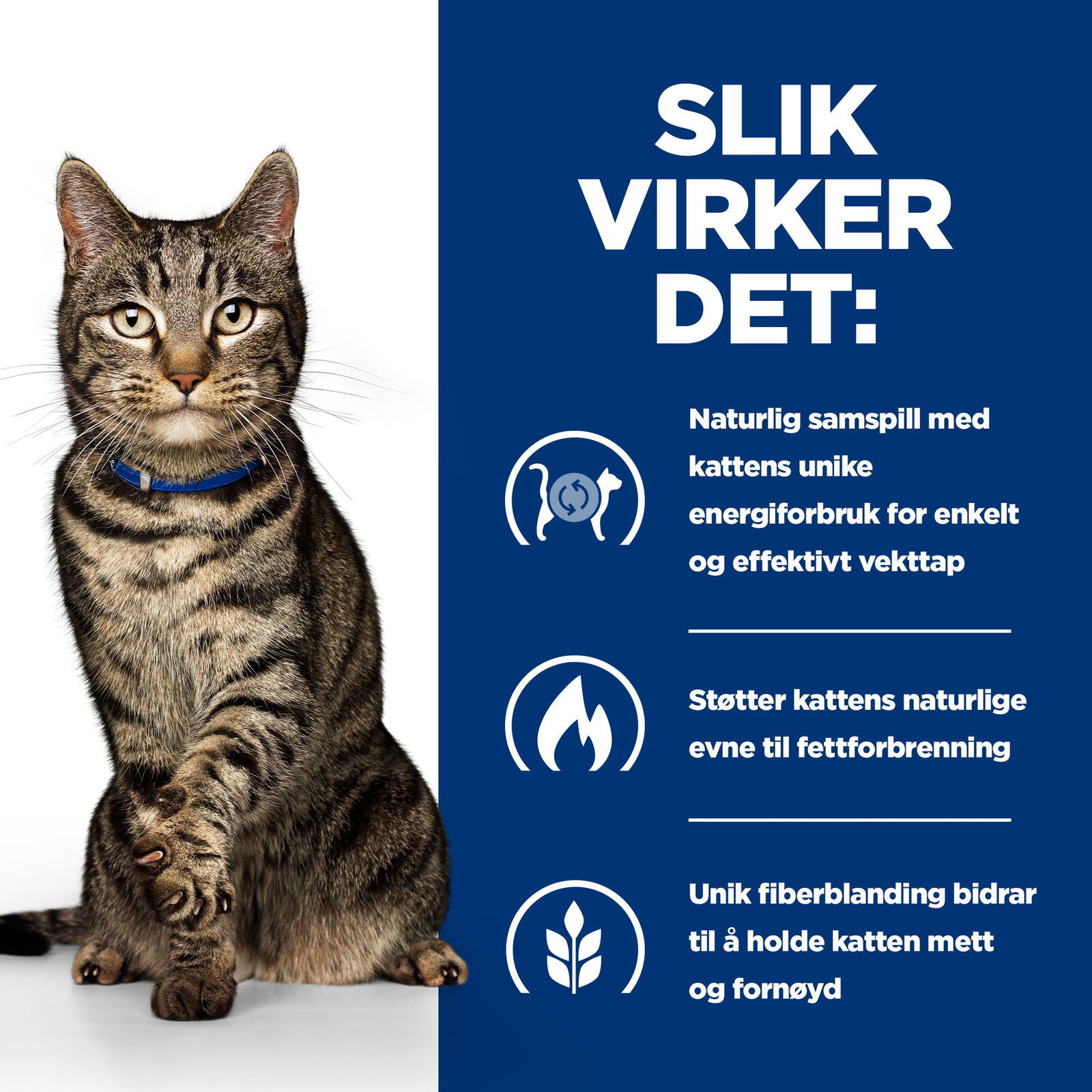 Hills Diet Cat Metabolic Portionspåse 12x85g