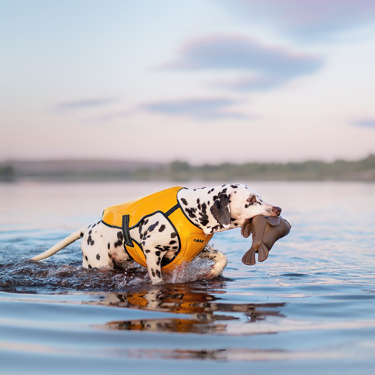 Rukka Walrus Floating Toy