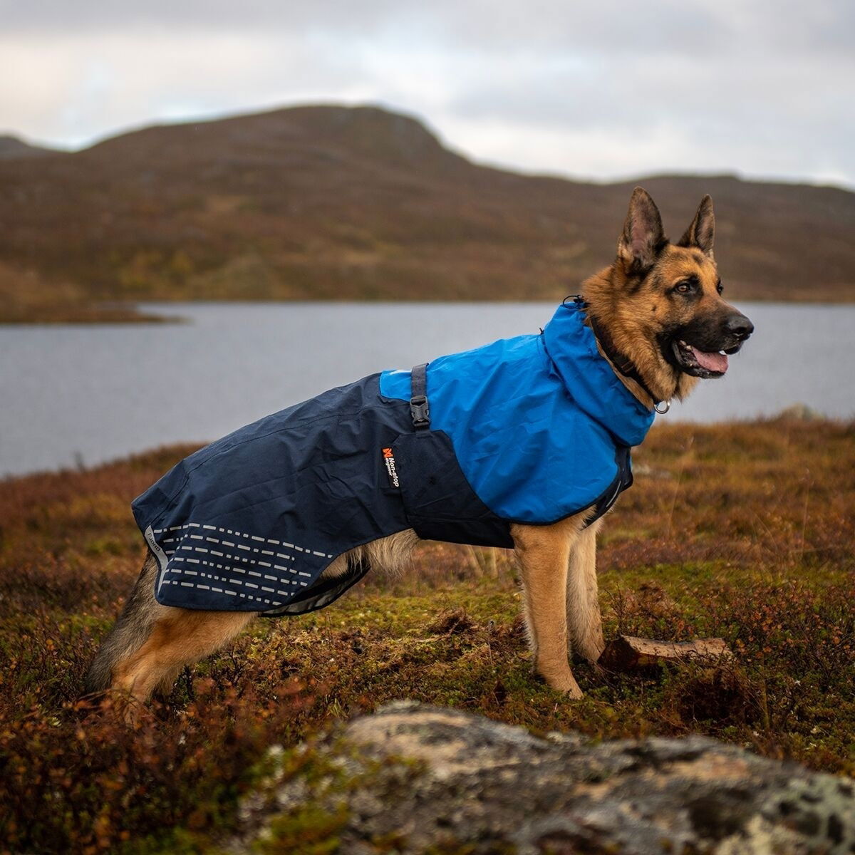 Non-Stop Fjord raincoat, blue