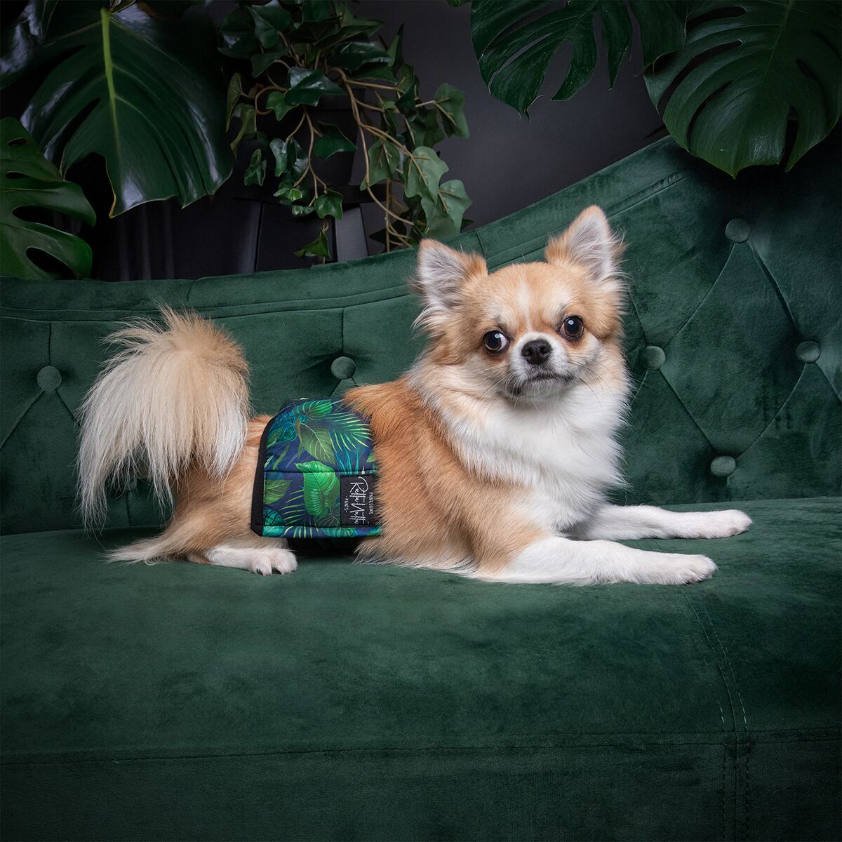 RuttuNuttu male wrap Jungle monstera