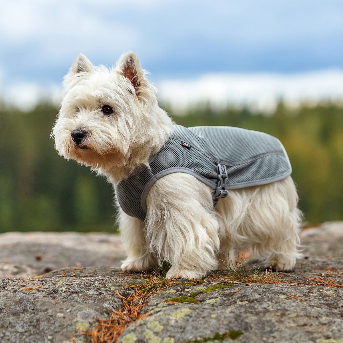 Rukka Cooling Vest Grey