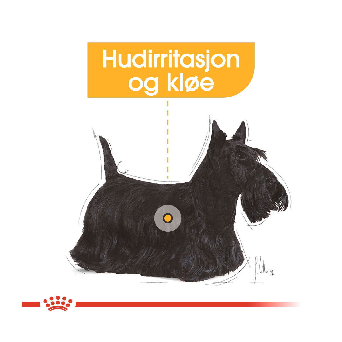 Royal Canin Dermacomfort Adult Loaf våtfôr til hund