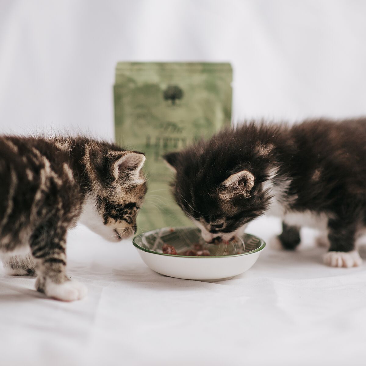 ESSENTIAL the LITTLE LION PATÉ 12x85g