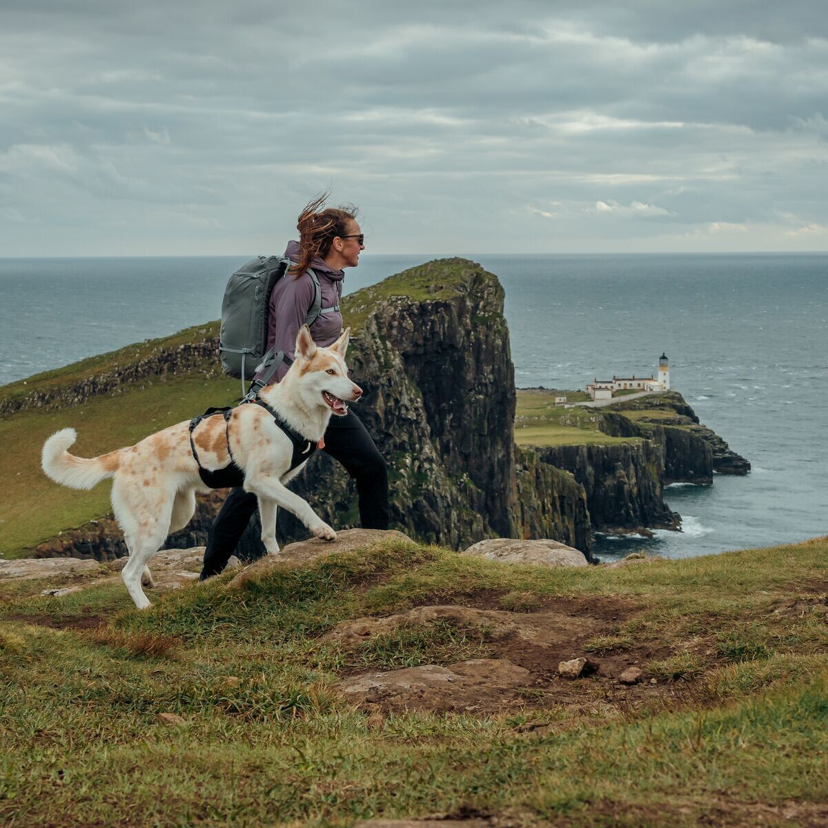 Ruffwear Ridgeline Harness Obsidian Black
