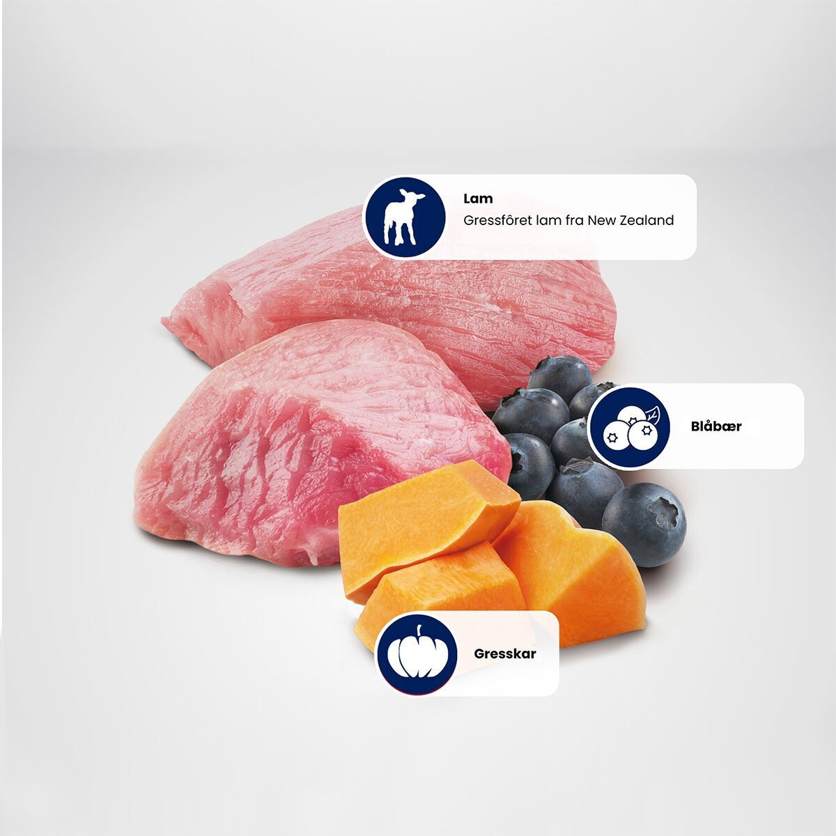 N&D Pumpkin Dog Lamb&Blueberr M/L 12kg