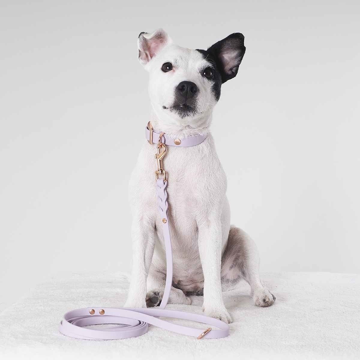 Tyylivoitto Braid leash, lavender