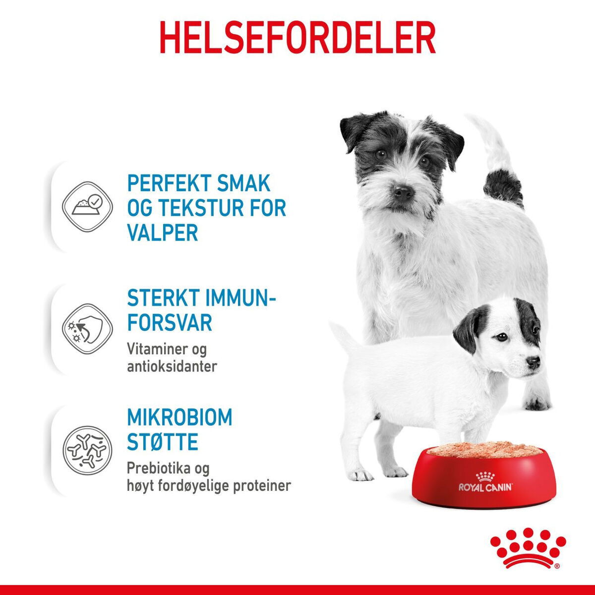 Royal Canin Mother & Babydog Starter Mousse våtfôr til hund og valp