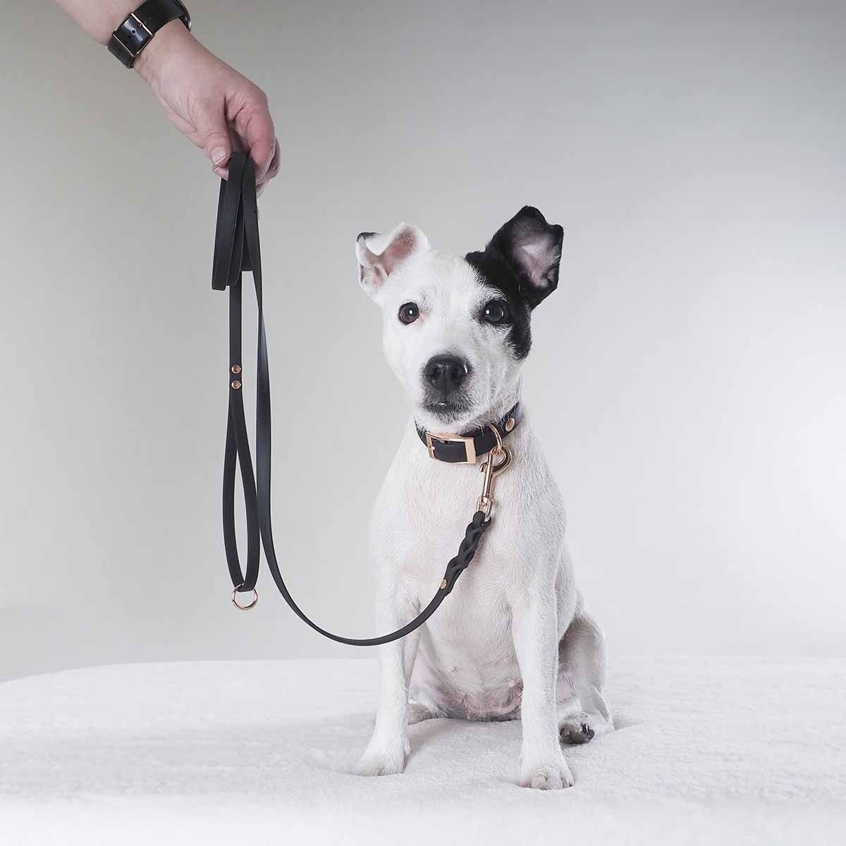 Tyylivoitto Classy narrow collar, black