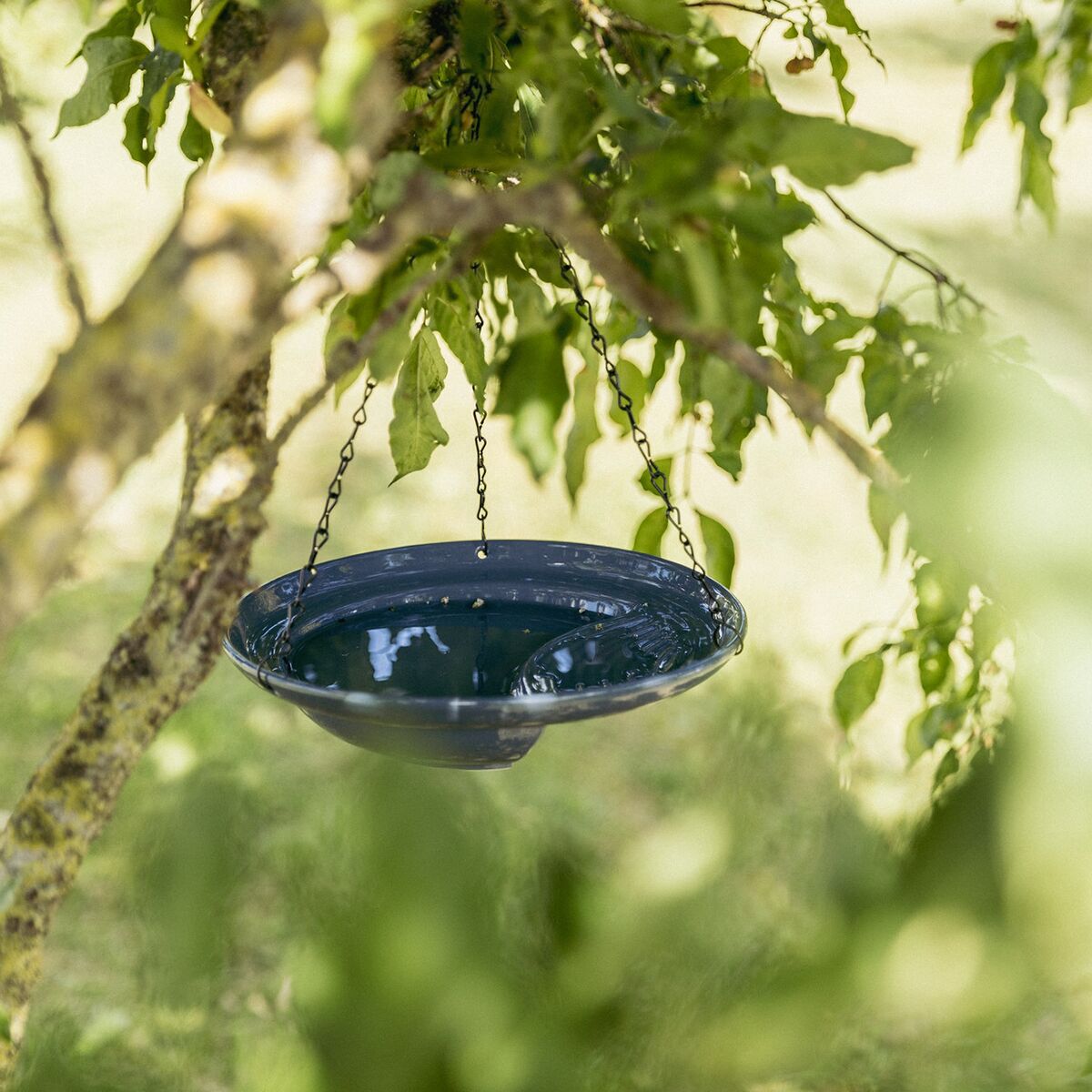 Trixie ceremic bird bath, 530 ml/ø 26cm blue