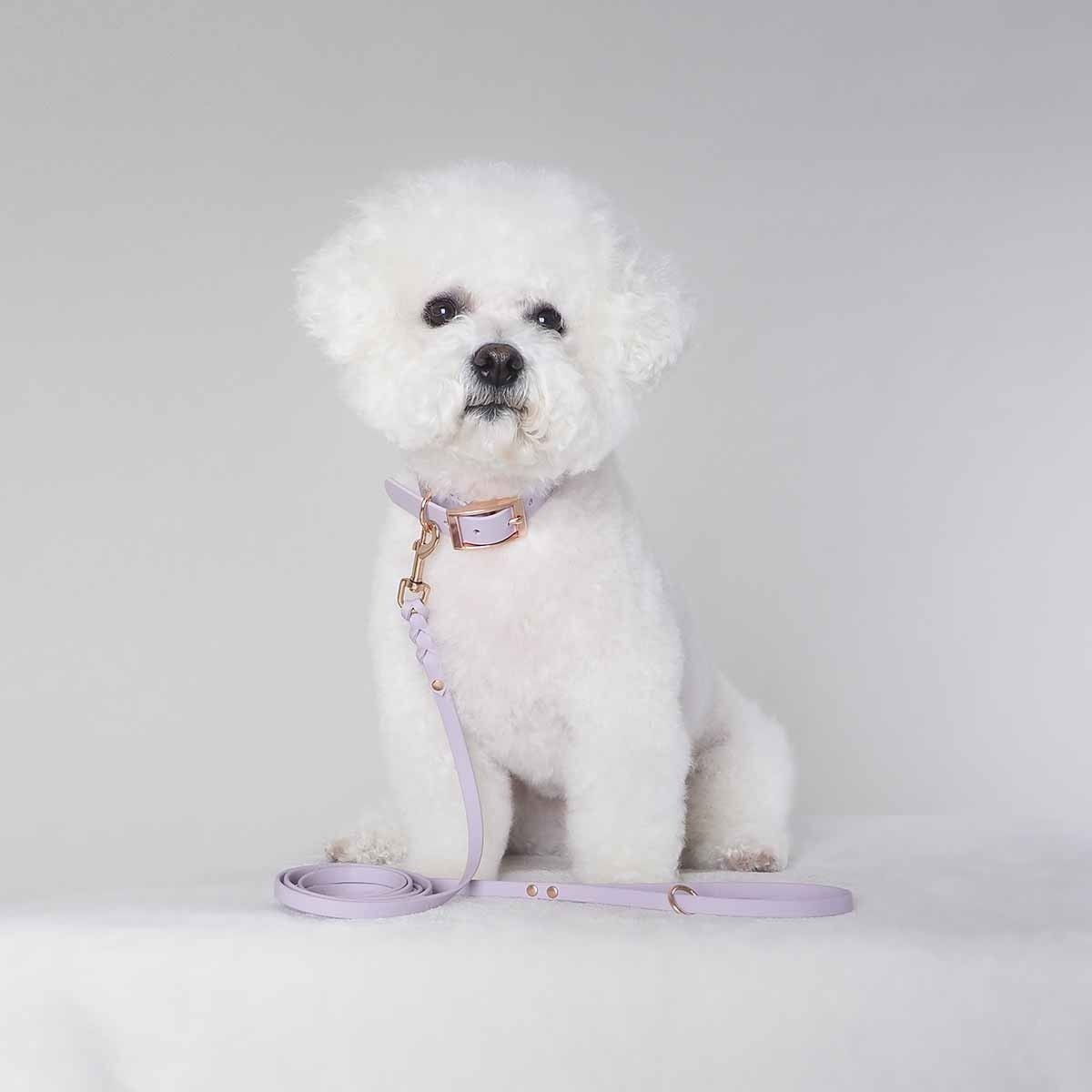 Tyylivoitto Braid leash, lavender