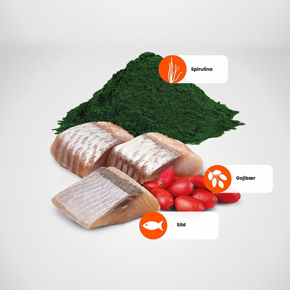 N&D Dog Spirulina&Herring M/L 2kg