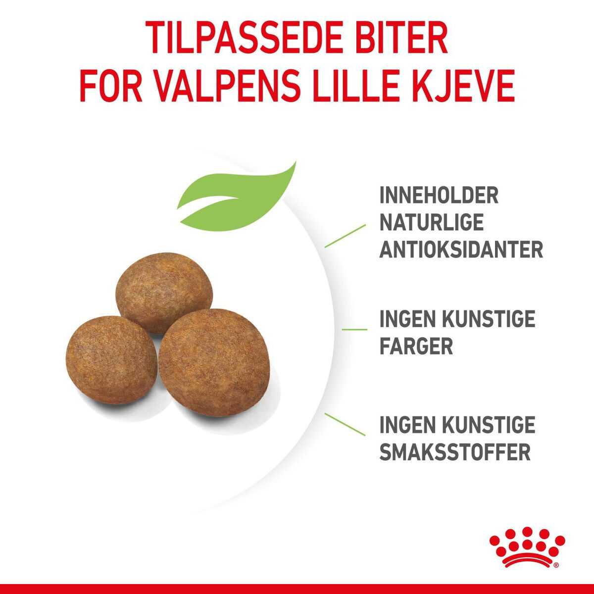 Royal Canin Giant Puppy tørrfôr til valp