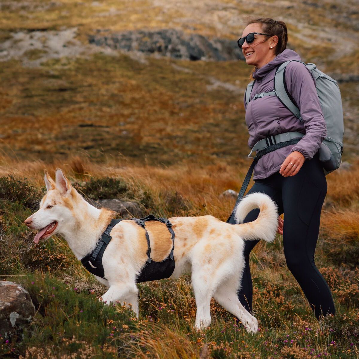 Ruffwear Ridgeline Leash