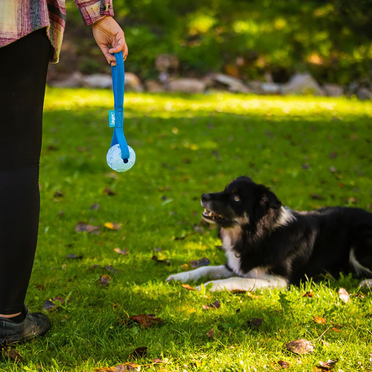 Loype Springster tug w. ball