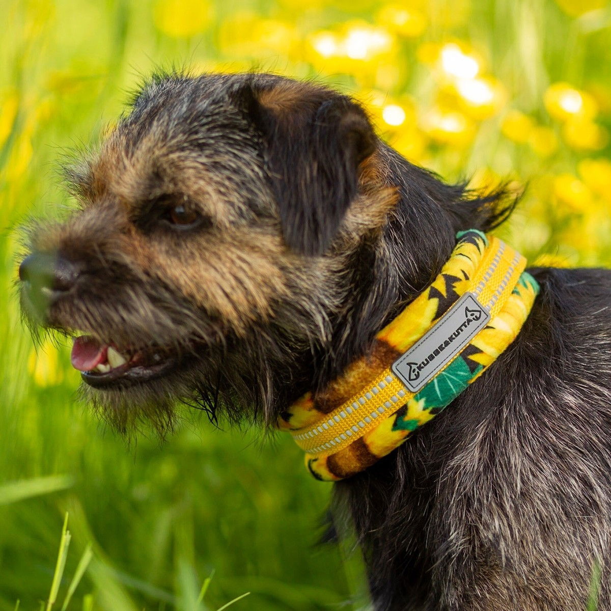 K&K half choke collar, furry, sun flower