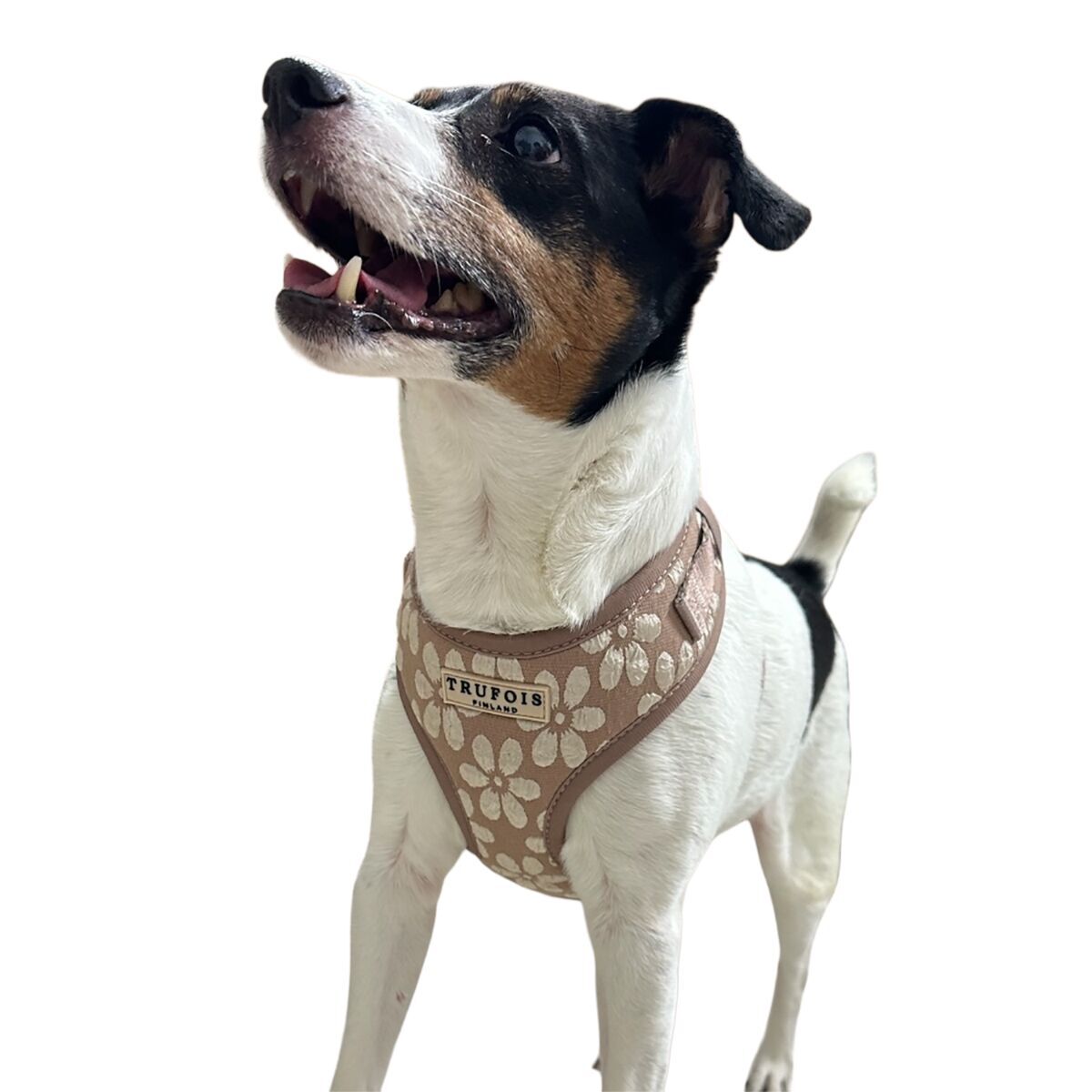 Trufois Lite Harness Chai