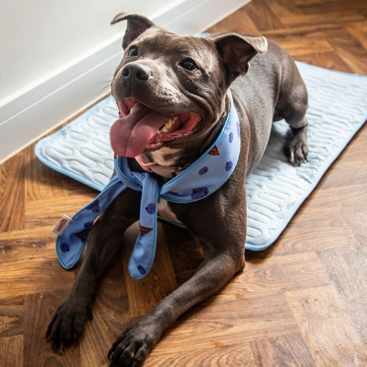 Rosewood Cooling Neckerchief