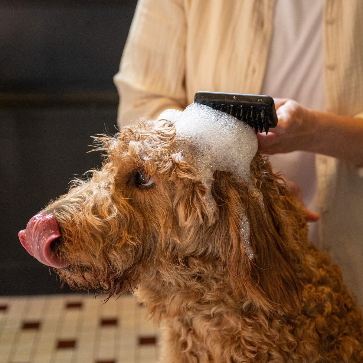 Fiskars massage brush