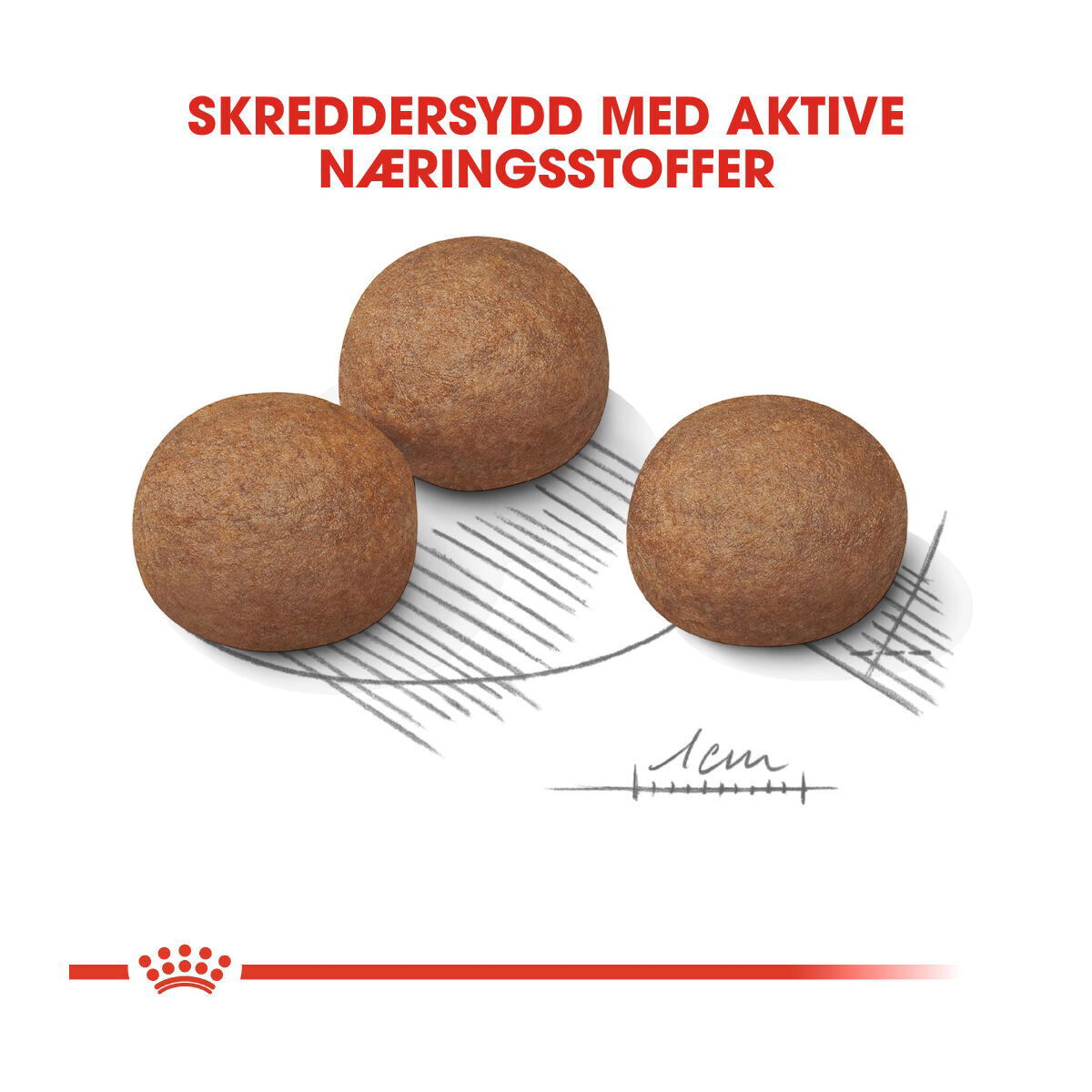 Royal Canin Maxi Digestive Care