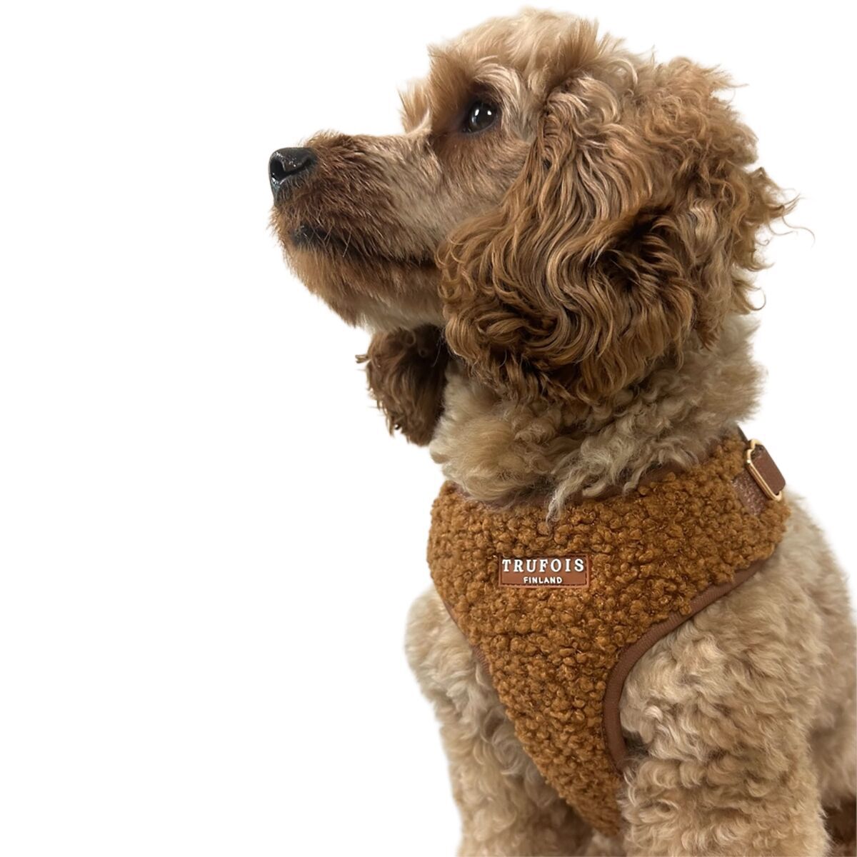 Trufois Lite Harness Chocolate Brown