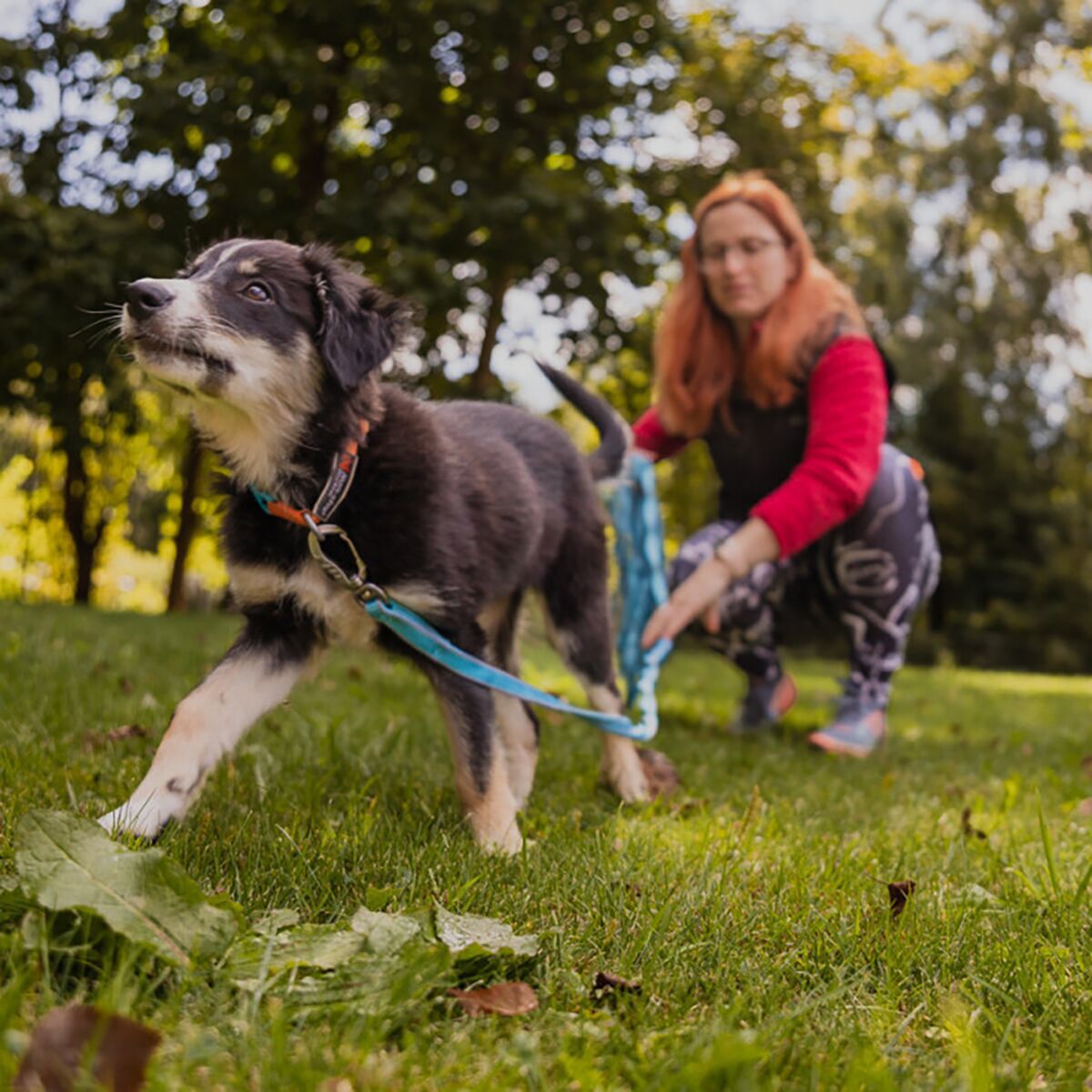 Loype Saxana Tracking Line