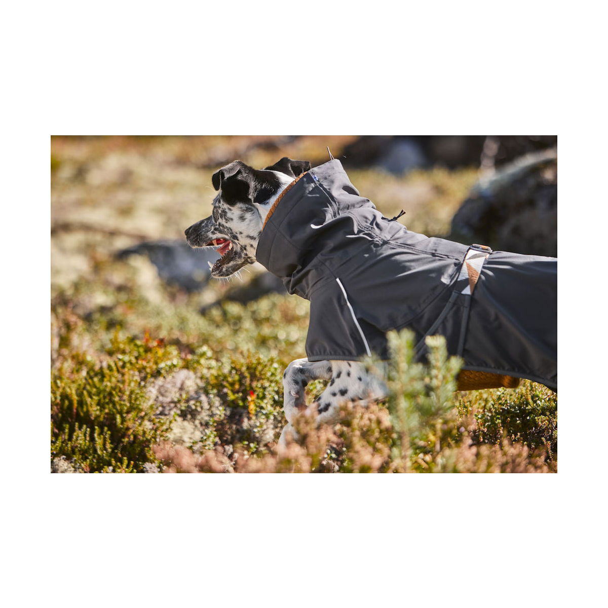 Hurtta Mudventure Coat ECO blackberry