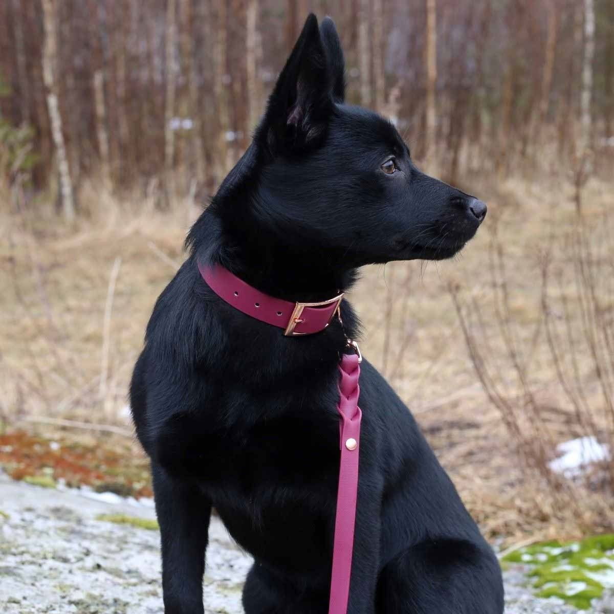 Tyylivoitto Classy collar burgundy