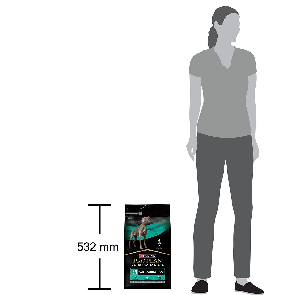 PP VD Dog EN Gastrointestinal