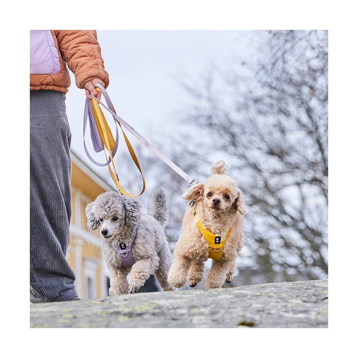 Hurtta Seeker Standard Leash 180*15