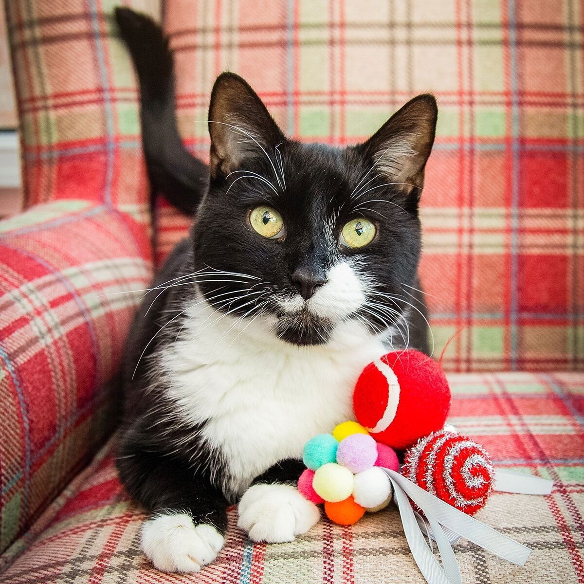 Rosewood Festive ball gift box