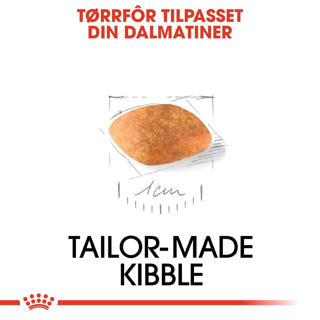 Royal Canin Dalmatian Puppy tørrfôr til hundvalp