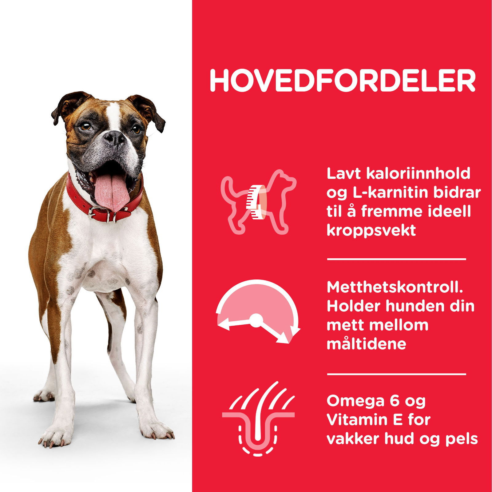 Hill's Science Plan Dog Adult Light Chicken