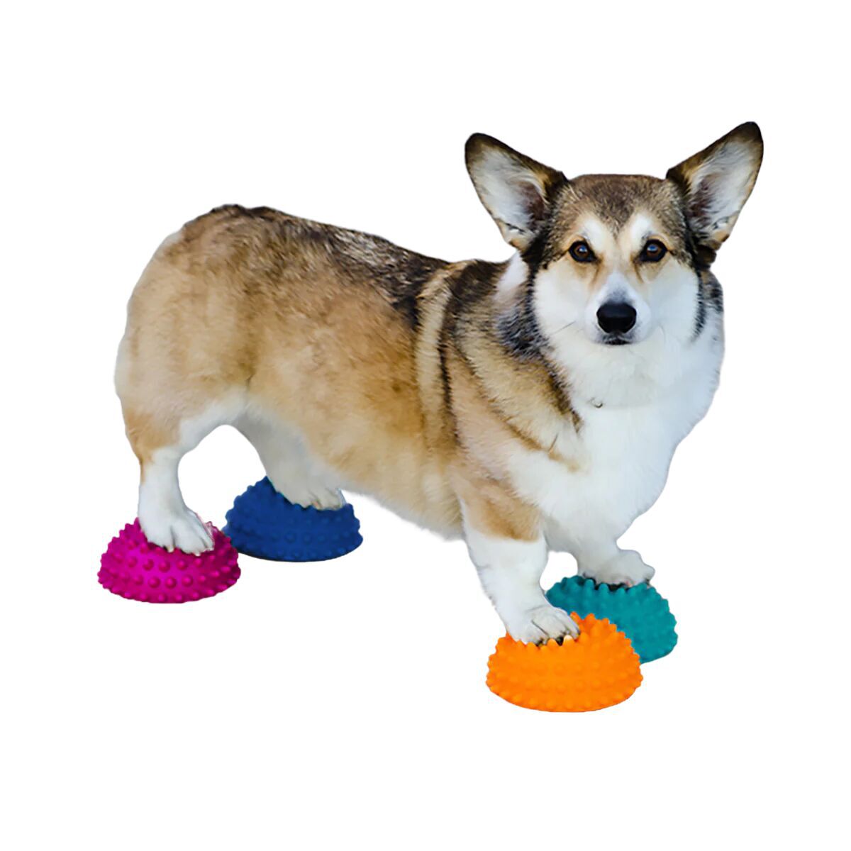 FitPaws Paw Pods 4pcs