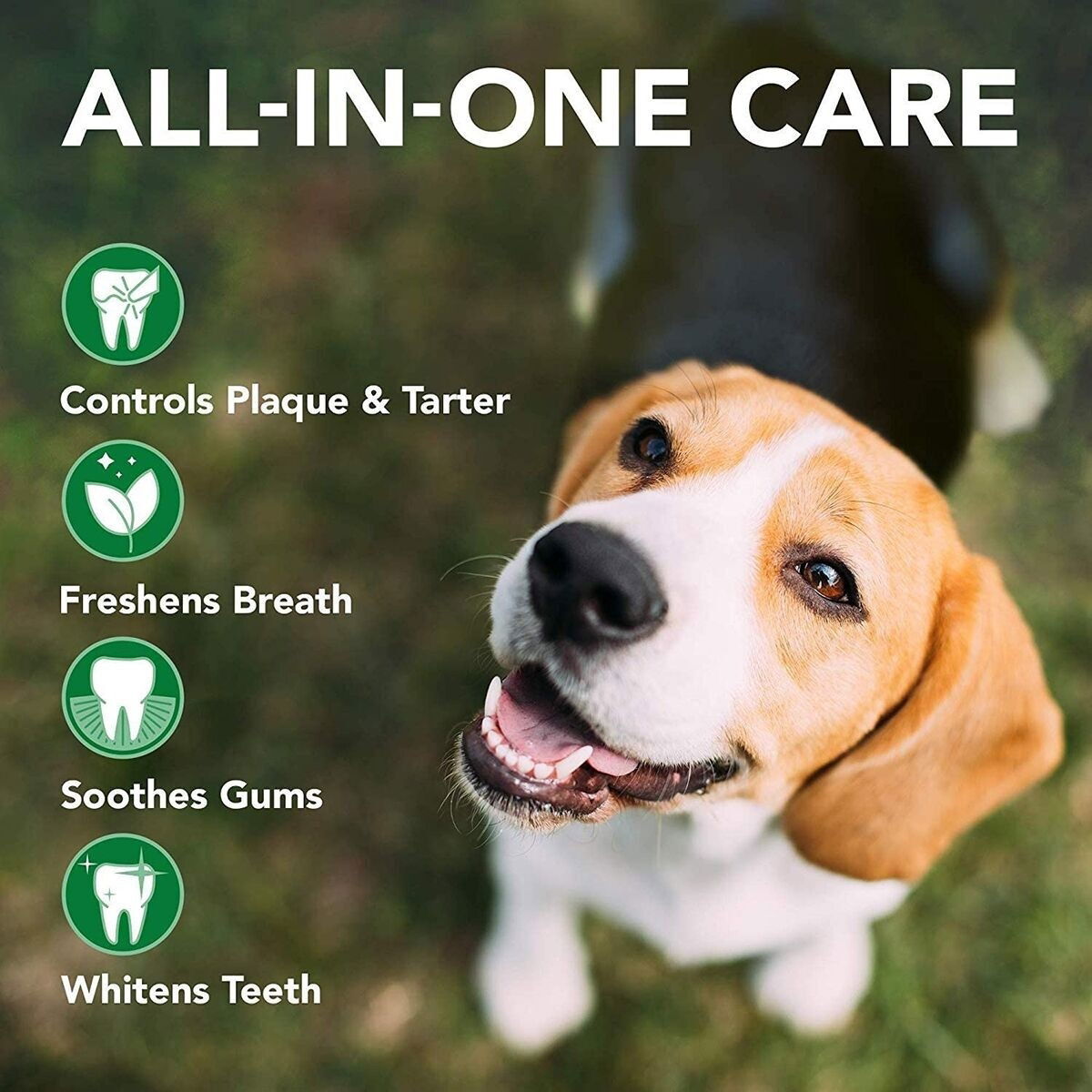 Vet's Best Triple headed Toothbrush