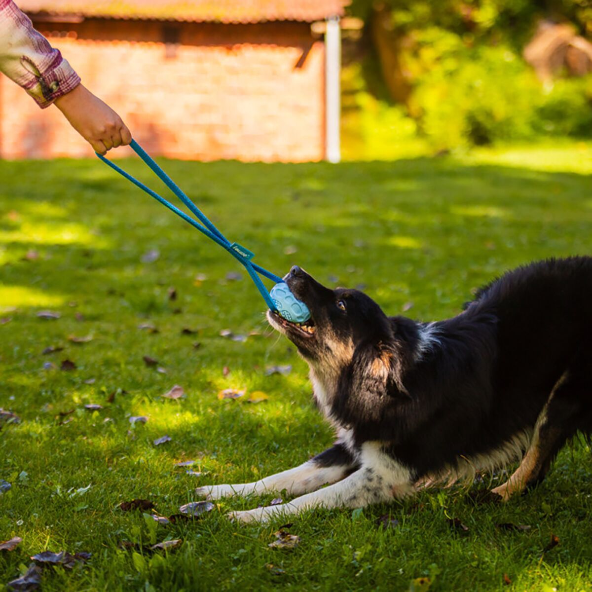 Loype Springster tug w. ball