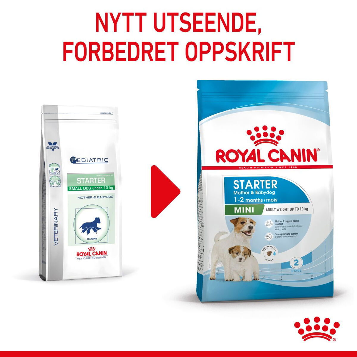 Royal Canin Mini Starter