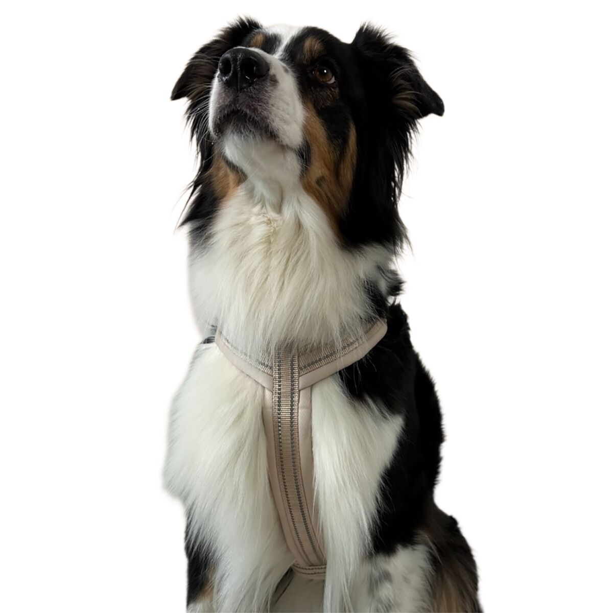 Trufois Comfy Harness Beige