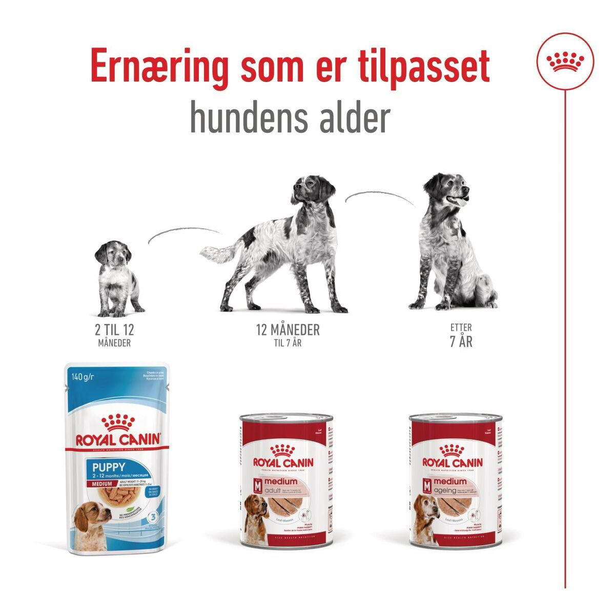 Royal Canin Medium Adult loaf can 410g