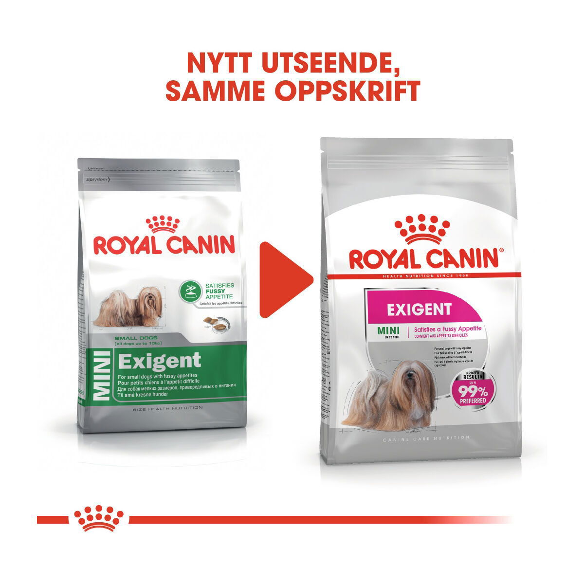 Royal Canin Mini Exigent