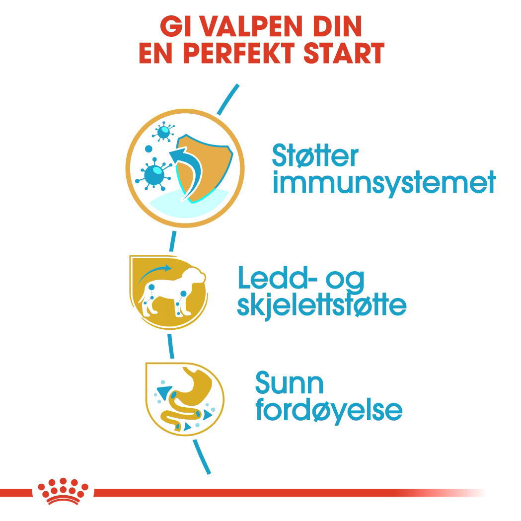 Royal Canin Dachshund Puppy tørrfôr til hundvalp