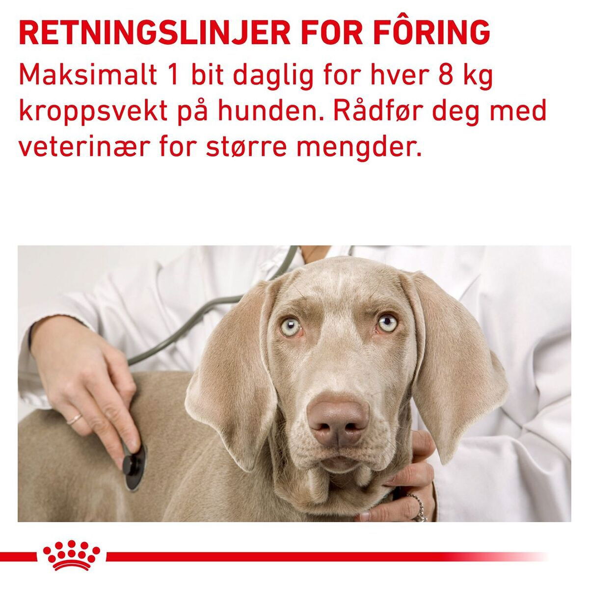 Royal Canin Veterinary Diets Dog Pill Assist M/L 225g