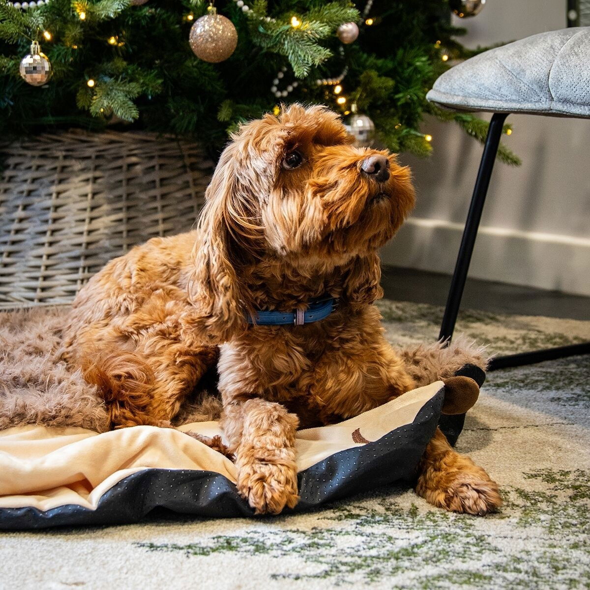 RW Hedgehog Snuffle Burrow Blanket
