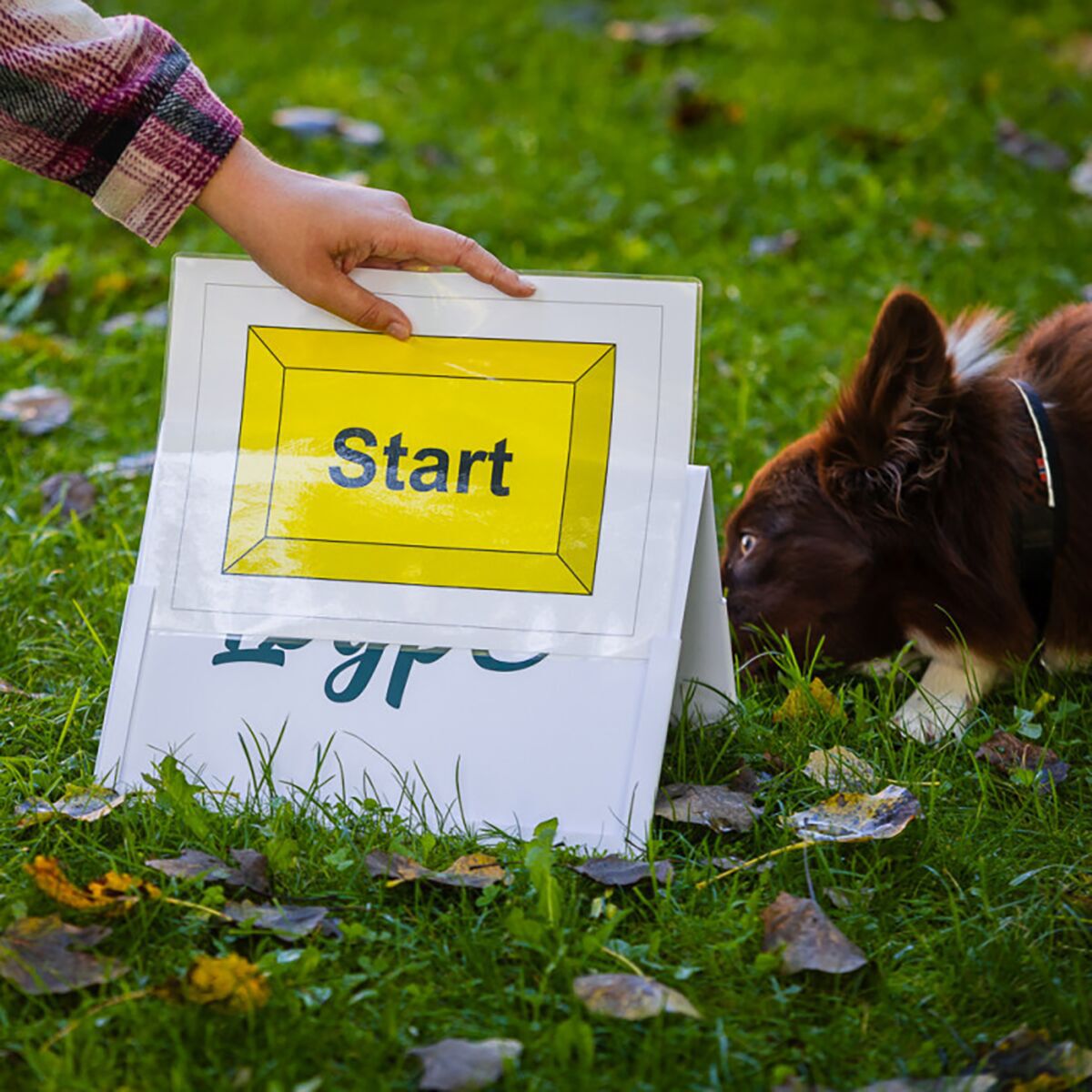 Loype Plastic Rally Stand