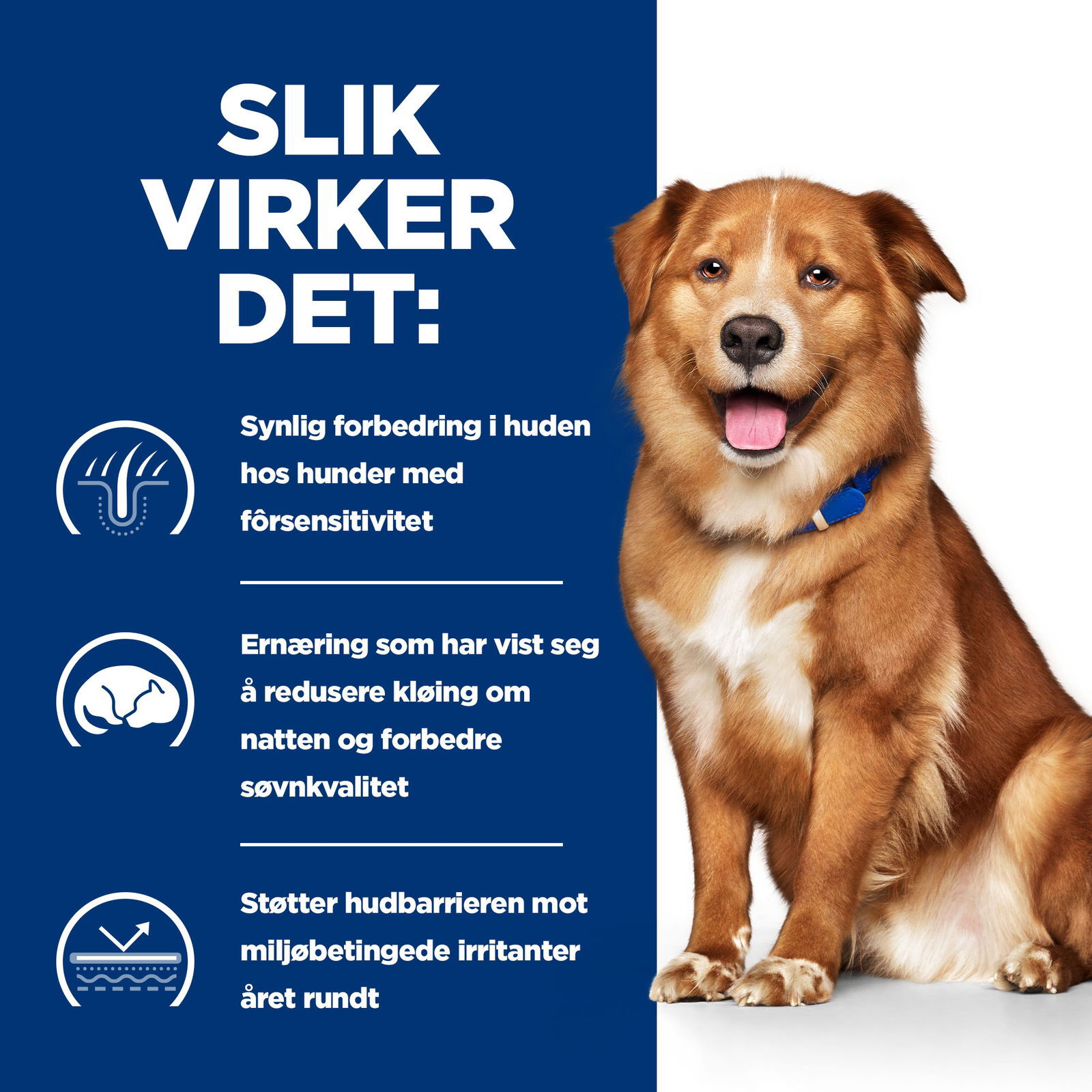 Hill's Prescription Diet Canine Derm Complete  