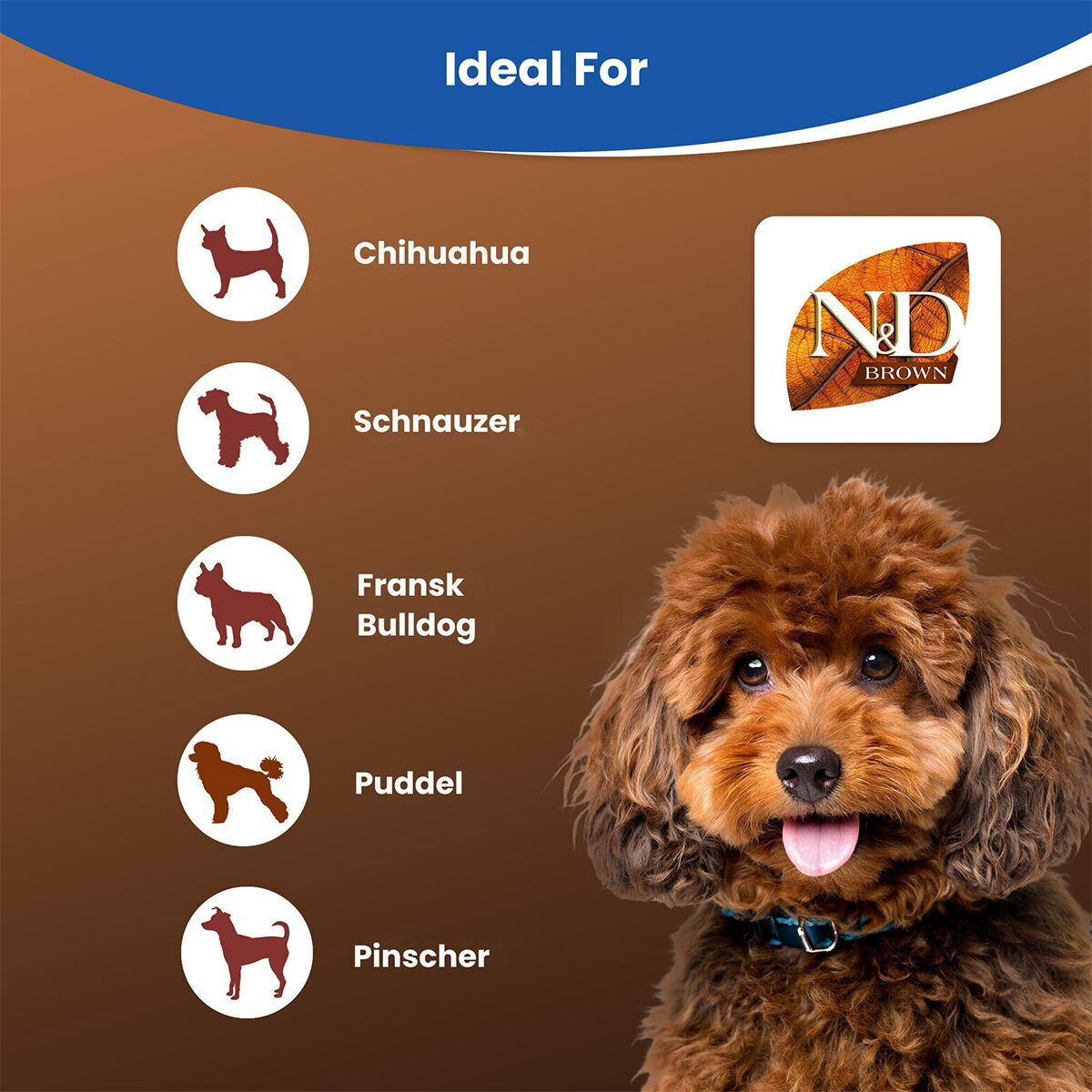 N&D Brown Dog Lamb&Spirulina Small 2kg