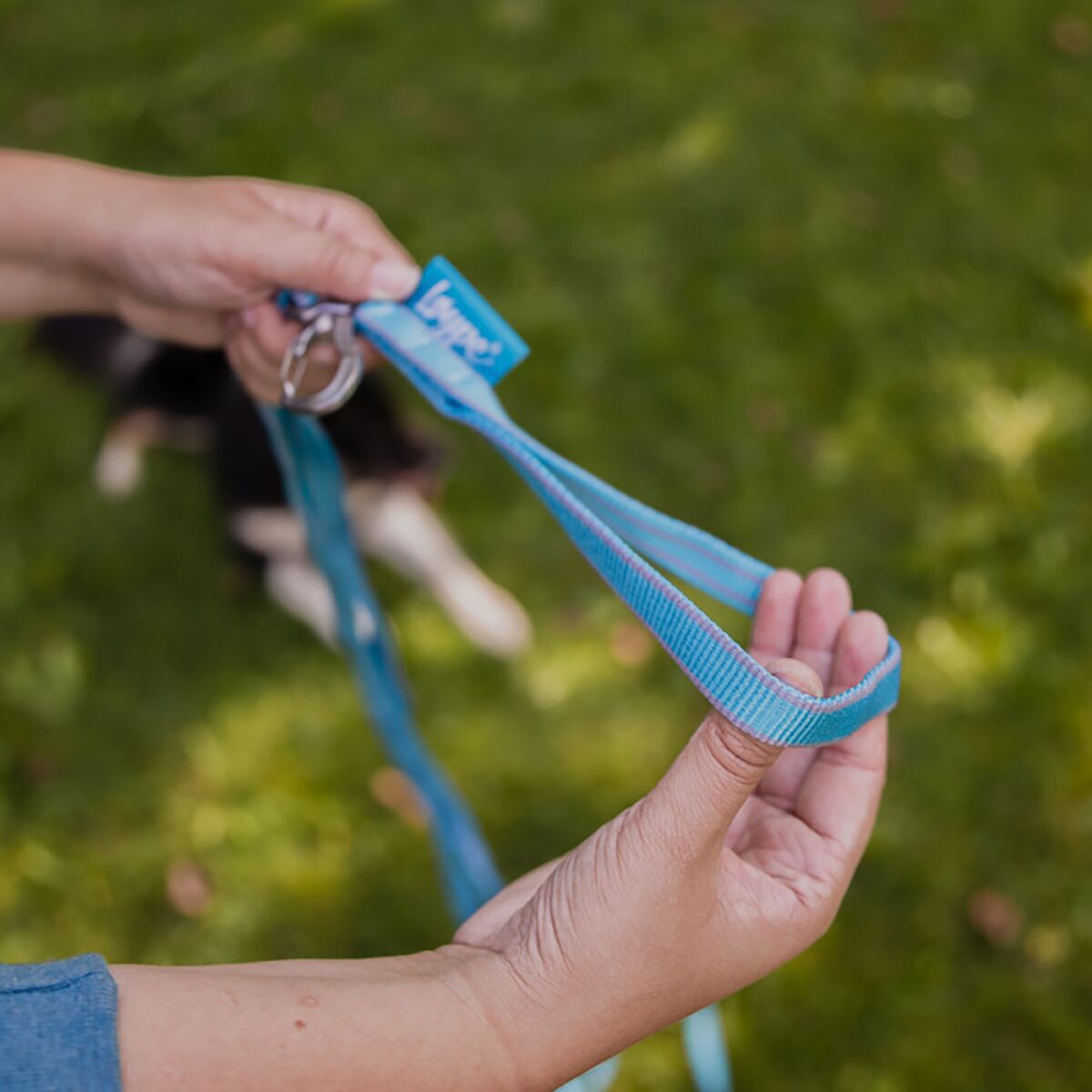 Loype Saxana Tracking Line