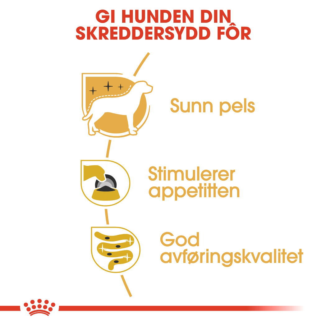 Royal Canin Yorkshire Terrier Adult Loaf våtfôr til hund