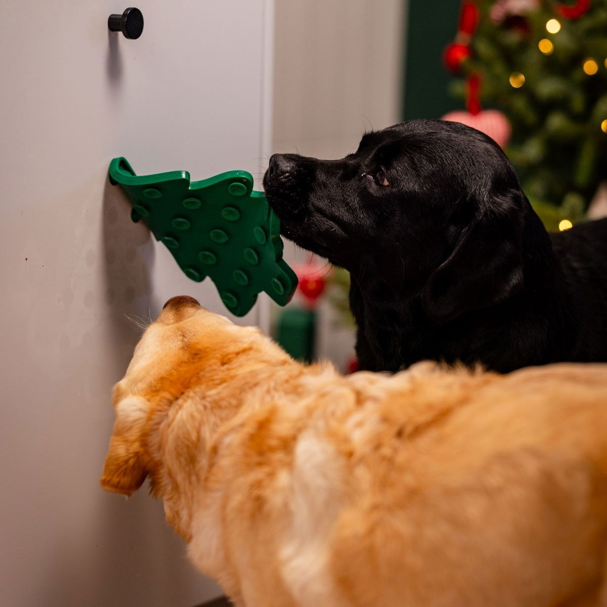 Little&Bigger Yummy mat 2in1 spruce