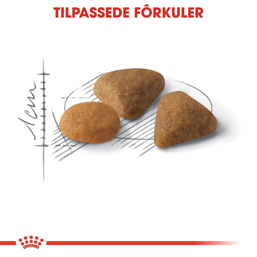 Royal Canin Savour Exigent Adult tørrfôr til katt