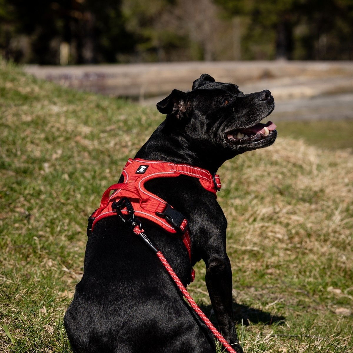 Feel Active Training harness Fiery Red